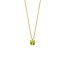 Blush Blush Collier 3200YGP Augustus 14k Geelgoud met Peridot 42cm