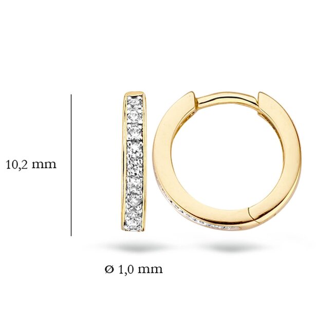 Blush 7129BZI Oorbellen 14 krt geelgoud met zirkonia