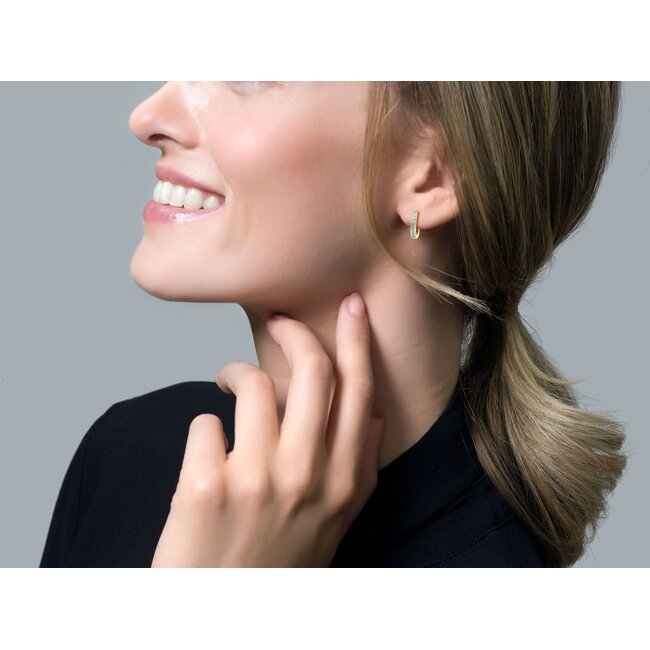 Blush 7129BZI Oorbellen 14 krt geelgoud met zirkonia