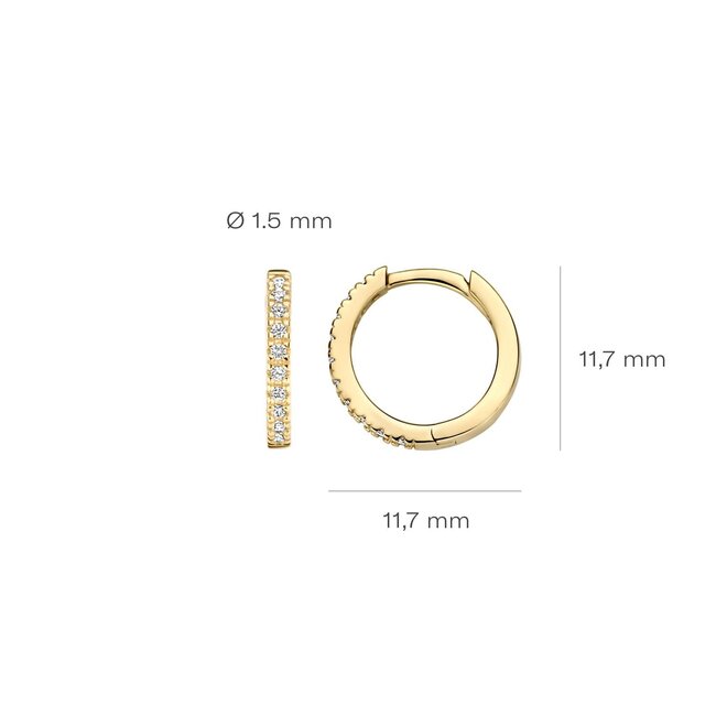 Blush Blush Oorbellen 7307YZI 14k Geelgoud Oorringen Gezet met Zirkonia 1.5mm x 11,5mm