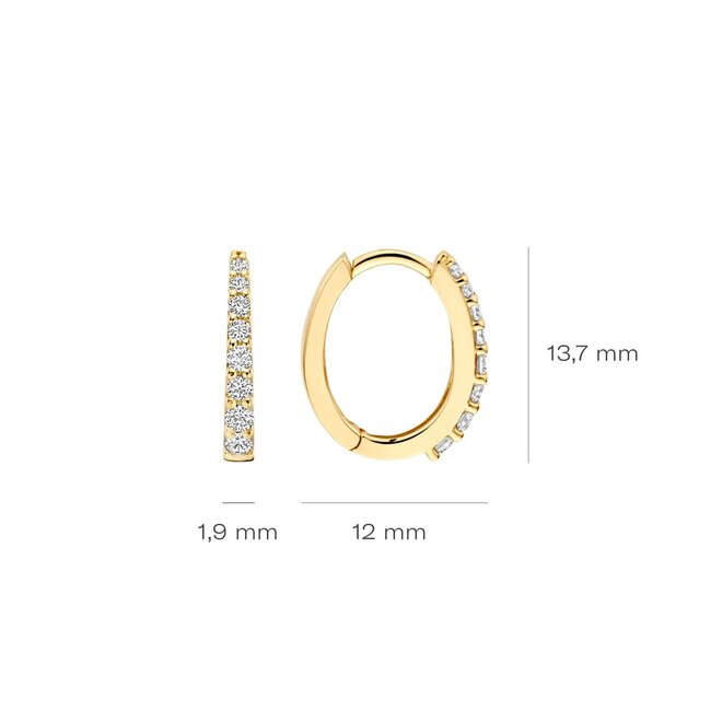 Blush Blush Oorbellen 7341YZI Ovaal 14k Geelgoud met Zirkonia 1.9mm x 13.7mm