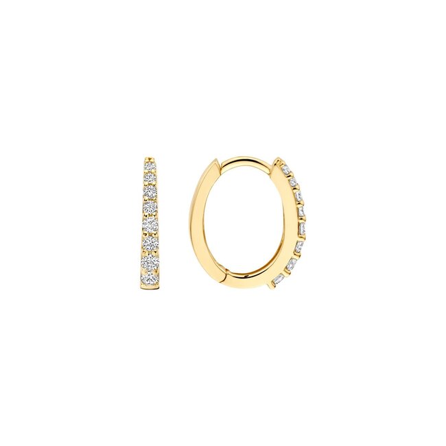 Blush Blush Oorbellen 7341YZI Ovaal 14k Geelgoud met Zirkonia 1.9mm x 13.7mm