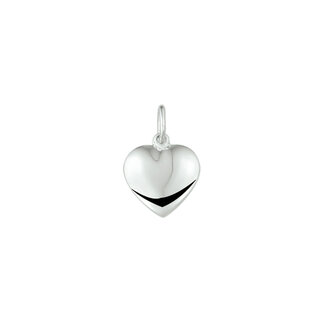 Blinckers Jewellery Huiscollectie BJ Hanger 13.23399 Zilver 925 Gerhodineerd Hart