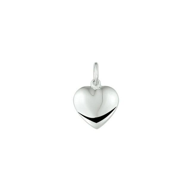 Blinckers Jewellery Huiscollectie BJ Hanger 13.23399 Zilver 925 Gerhodineerd Hart