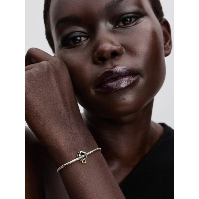 Pandora Pandora Bedel 764145C00 Zilver 14k Geelgouden Plating Huis en Hart