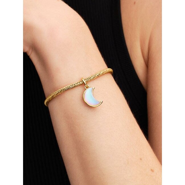 Pandora Pandora Bedel 764275C01 Zilver 14k Geelgouden Plating Maan met Zirkonia en Maansteen