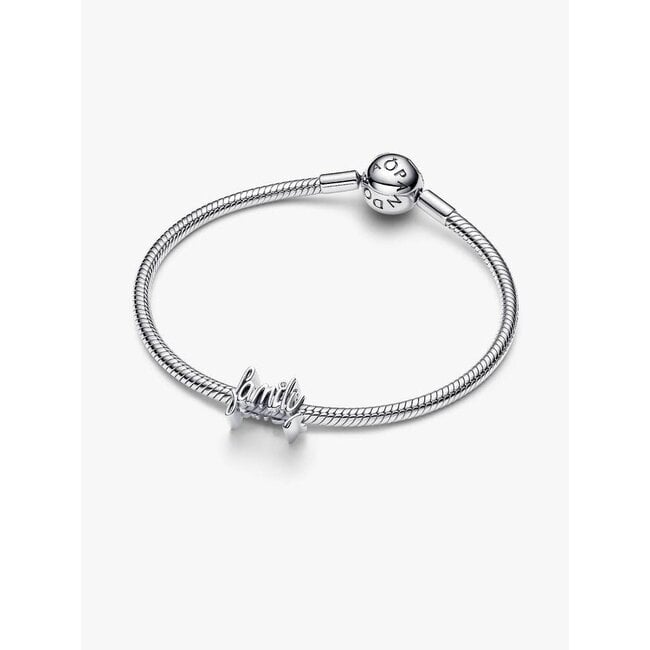 Pandora Pandora Bedel 794250C01 Zilver Family met Zirkonia