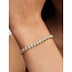 Pandora Pandora Armband 563539C01  Zilver met 14K Geelgouden Plating Tennis met Zirkonia