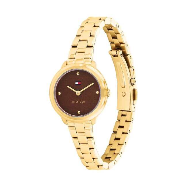 Tommy Hilfiger Tommy Hilfiger Horloge TH1782815 Demi Geelgouden Plating met Bruine Wijzerplaat Quartz 26mm