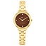 Tommy Hilfiger Tommy Hilfiger Horloge TH1782815 Demi Geelgouden Plating met Bruine Wijzerplaat Quartz 26mm