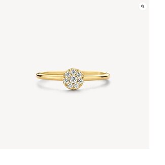 Blush Blush Ring 1277YZI/54 14k Geelgoud met Meerdere Zirkonia's Maat 54