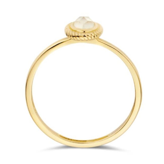 Blush Blush Ring 1239YMQ/58 14k Geelgoud met Quartz en Parelmoer Maat 58