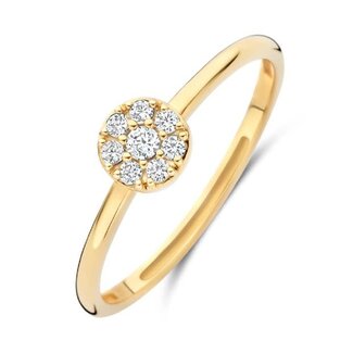 Blush Blush Ring 1277YZI/56 14k Geelgoud met Meerdere Zirkonia's Maat 56