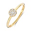 Blush Blush Ring 1277YZI/56 14k Geelgoud met Meerdere Zirkonia's Maat 56