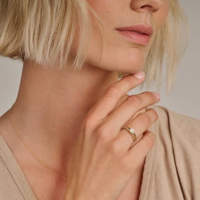 Blush Blush Ring 1277YZI/56 14k Geelgoud met Meerdere Zirkonia's Maat 56