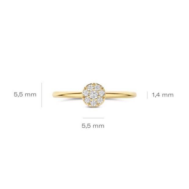 Blush Blush Ring 1277YZI/56 14k Geelgoud met Meerdere Zirkonia's Maat 56