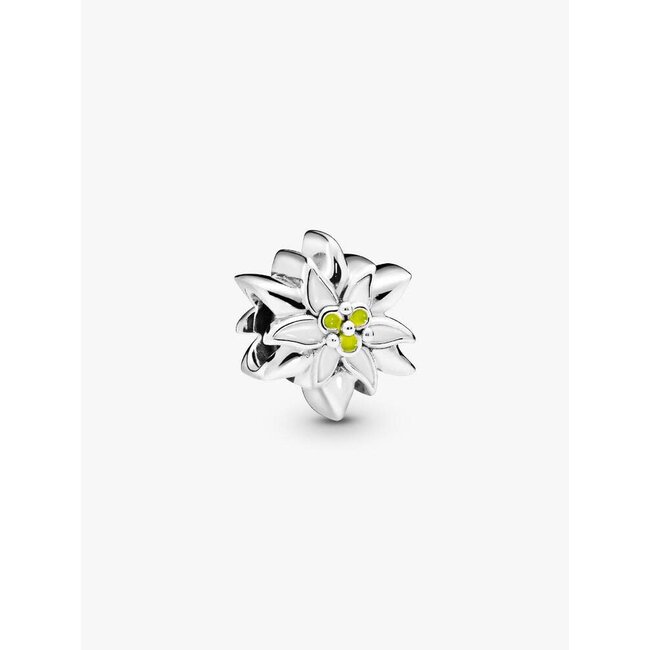 Pandora Pandora Bedel 798243ENMX Zilver Edelweiss met Wit en Geel