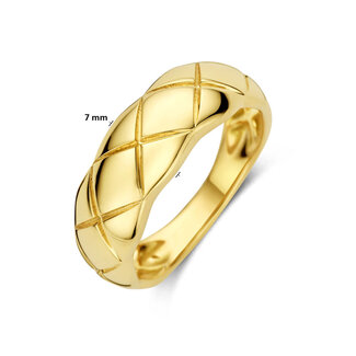 Blinckers Jewellery Huiscollectie THOB Ring 40.35135 14k Geelgoud met Motief 7mm Maat 54