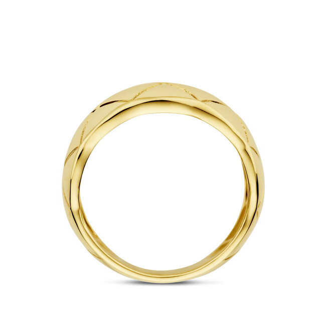 Blinckers Jewellery Huiscollectie THOB Ring 40.35135 14k Geelgoud met Motief 7mm Maat 54