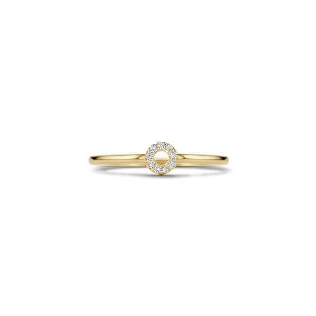 Blush Blush Ring 1217YZI/54 14k Geelgoud Cirkel Gezet met Zirkonia Maat 54