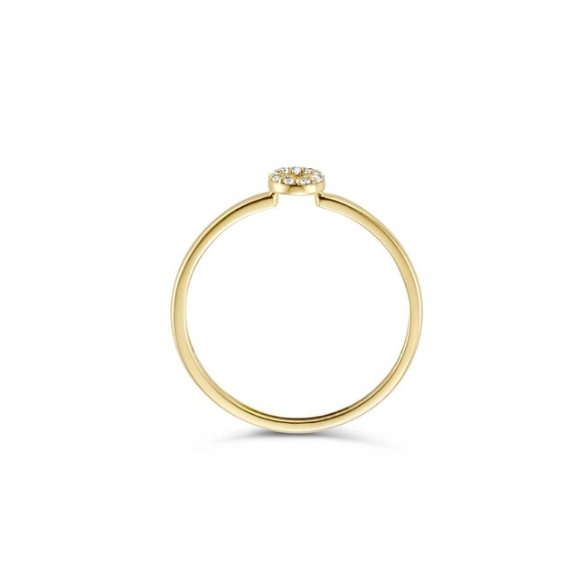 Blush Blush Ring 1217YZI/54 14k Geelgoud Cirkel Gezet met Zirkonia Maat 54