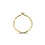 Blush Blush Ring 1217YZI/54 14k Geelgoud Cirkel Gezet met Zirkonia Maat 54