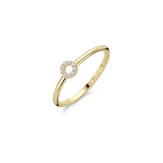 Blush Blush Ring 1217YZI/54 14k Geelgoud Cirkel Gezet met Zirkonia Maat 54