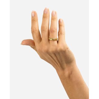 Buddha to Buddha Buddha to Buddha Ring 612GV 20 Nathalie XS Zilver met Geelgouden Plating Maat 20