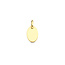 Blinckers Jewellery Huiscollectie BJ Hanger 40.22367 14k Geelgoud Ovaal Graveerbaar 8mm x 12mm