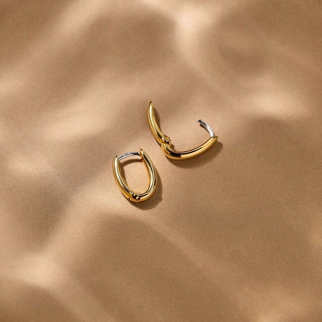 Ti Sento Milano Ti Sento Oorbellen 7759SY Zilver met Geelgouden Plating Ovaal