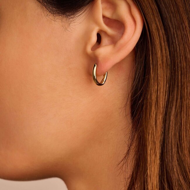 Ti Sento Milano Ti Sento Oorbellen 7759SY Zilver met Geelgouden Plating Ovaal