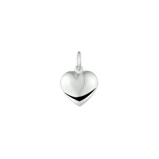 Blinckers Jewellery Huiscollectie BJ Hanger 13.29844 Zilver Hartje 20x13mm