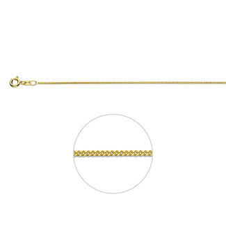 Blinckers Jewellery Huiscollectie BJ Collier 80.00384 45cm 9k Geelgoud Gourmette 41-45cm