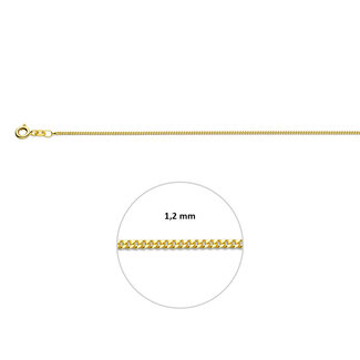 Blinckers Jewellery Huiscollectie BJ Collier 80.00385 45cm 9k Geelgoud Gourmette 41-45cm