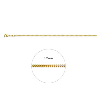 Blinckers Jewellery Huiscollectie BJ Collier 80.00390 50cm 9k Geelgoud Gourmette 50cm