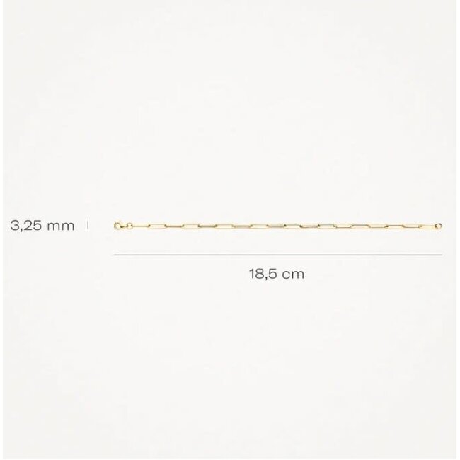 Blush Blush Armband 2190YGO 14k Geelgoud Closed Forever Schakel 3,25mm x 18.5cm