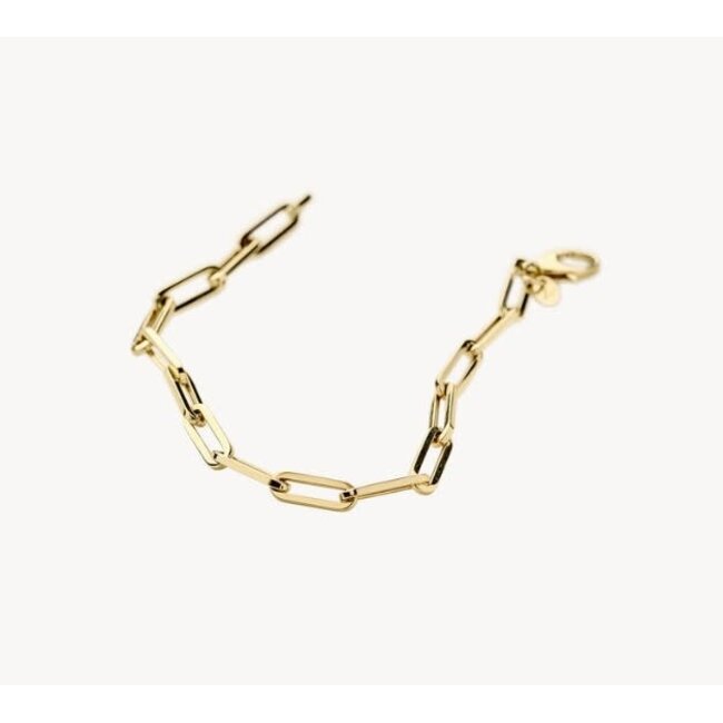 Blush Blush Armband 2190YGO 14k Geelgoud Closed Forever Schakel 3,25mm x 18.5cm