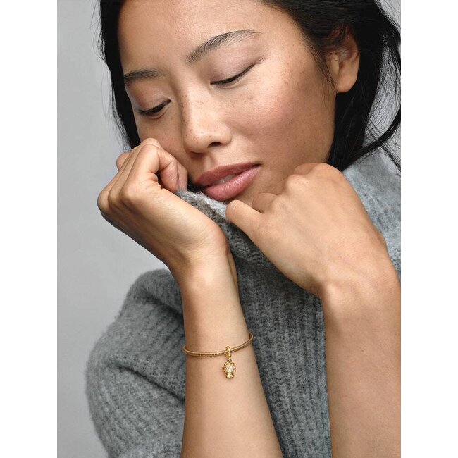 Pandora Pandora Bedel 762825C01 14k Geelgouden Plating Sneeuwbol