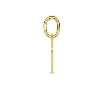 Blinckers Jewellery Huiscollectie BJ Hanger 40.23464 14k Geelgoud Letter M