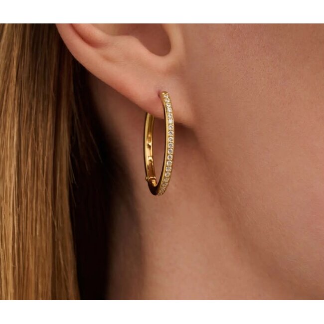 Ti Sento Milano Ti Sento Oorbellen 7789ZY Zilver met Geelgouden Plating en Zirkonia 19.5x25mm