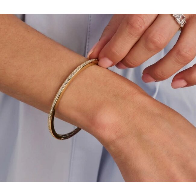 Ti Sento Milano Ti Sento Armband 2889ZY Bangle Zilver met Geelgouden Plating en Zirkonia 60mm