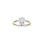 Ti Sento Milano Ti Sento Ring 12388ZY/54 Zilver met Geelgouden Plating en Zirkonia Maat 54