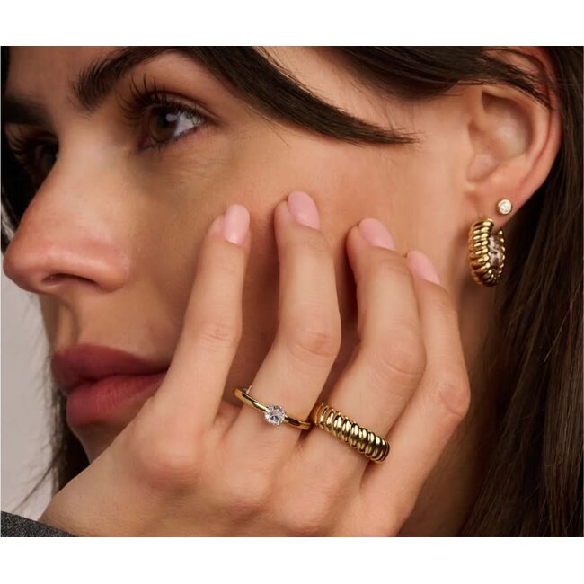 Ti Sento Milano Ti Sento Ring 12110ZY/52 Zilver met Geelgouden Plating en Zirkonia Maat 52