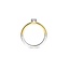Ti Sento Milano Ti Sento Ring 12110ZY/52 Zilver met Geelgouden Plating en Zirkonia Maat 52