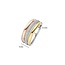 Ti Sento Milano Ti Sento Ring 12427TZ/54 Zilver met Tri-color en Zirkonia Maat 54