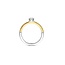 Ti Sento Milano Ti Sento Ring 12109ZY/54 Zilver met Geelgouden Plating en Zirkonia Maat 54