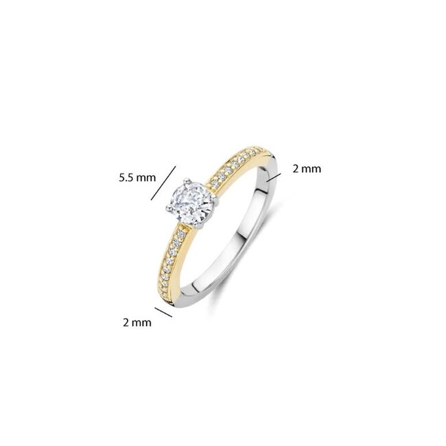 Ti Sento Milano Ti Sento Ring 12109ZY/54 Zilver met Geelgouden Plating en Zirkonia Maat 54