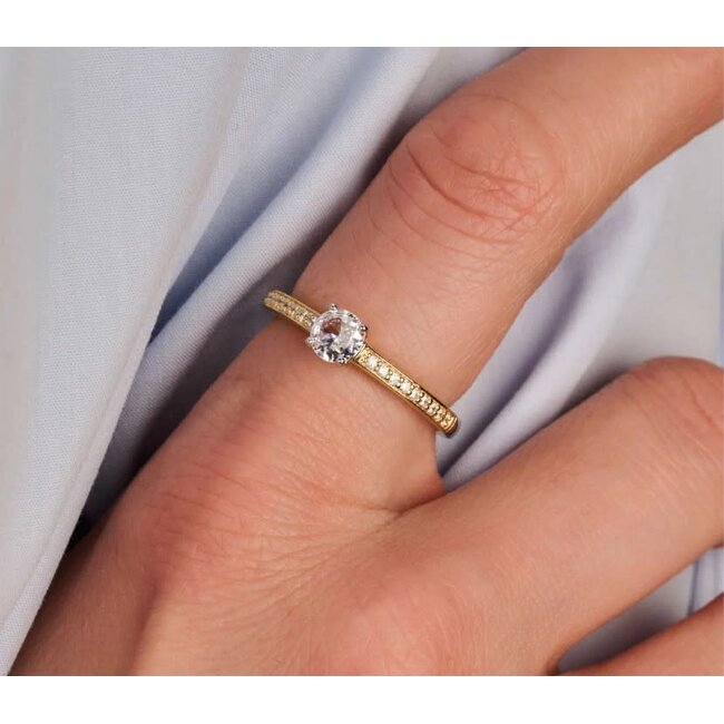 Ti Sento Milano Ti Sento Ring 12109ZY/54 Zilver met Geelgouden Plating en Zirkonia Maat 54