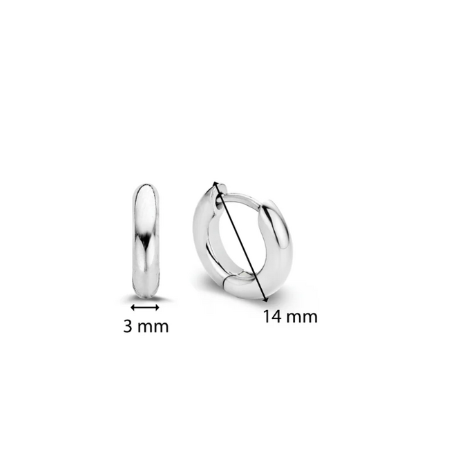 Ti Sento Milano 7210SI - Oorbellen