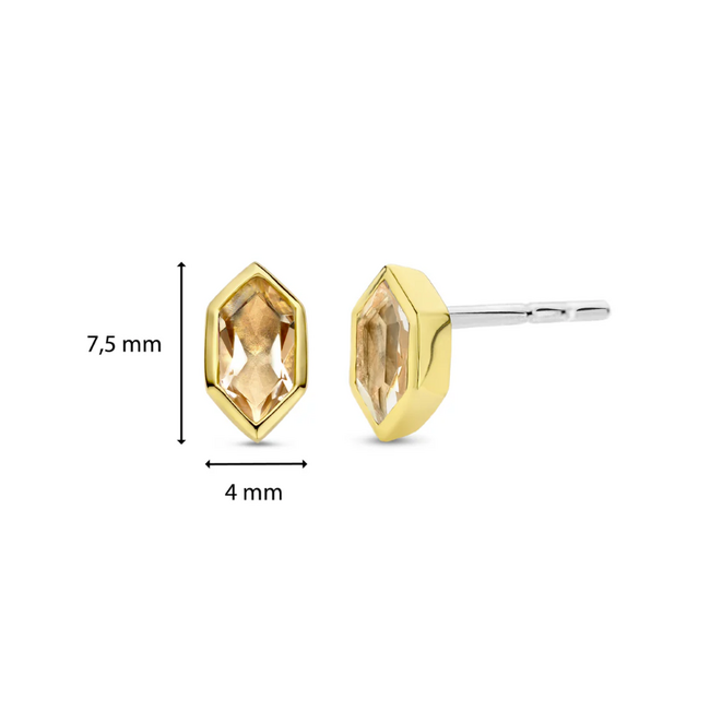 Ti Sento Milano Ti Sento Oorbellen 7944NU Zilver met Goude Plating en Roze Zirkonia 5mm x  4mm